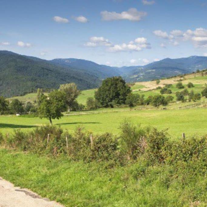 Agreable Maison De Village Avec Balcon Roiffieux Eksteriør billede